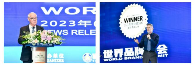 权威认证 xcsport体育入选中国500最具价值品牌