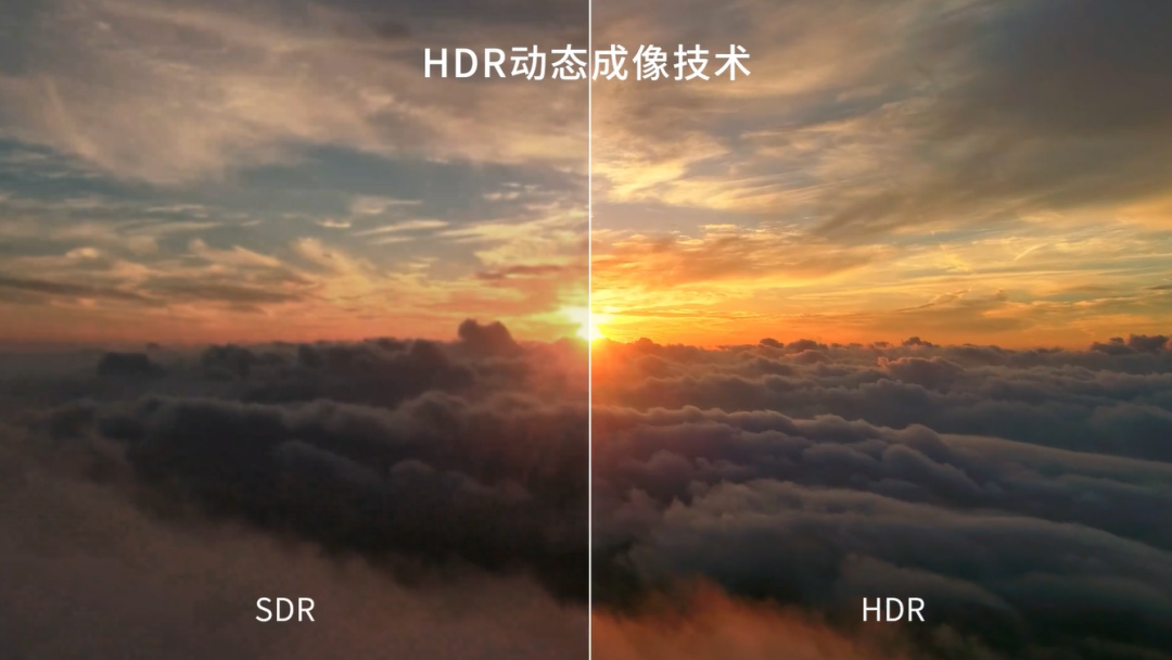 xcsport体育TX平台